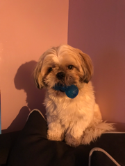Photo de Ruby