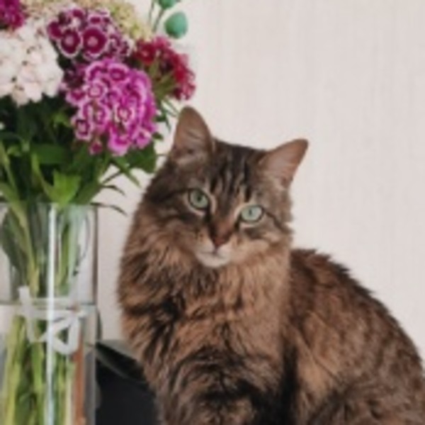 Lila