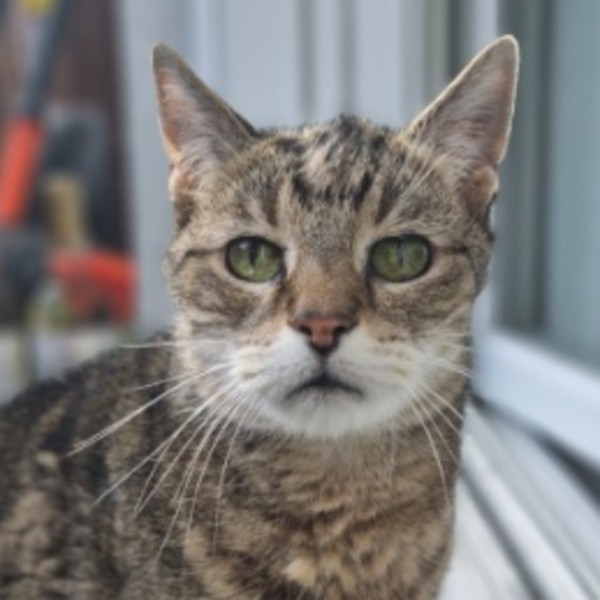 Photo de Nikas