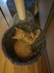 Photo de Suri