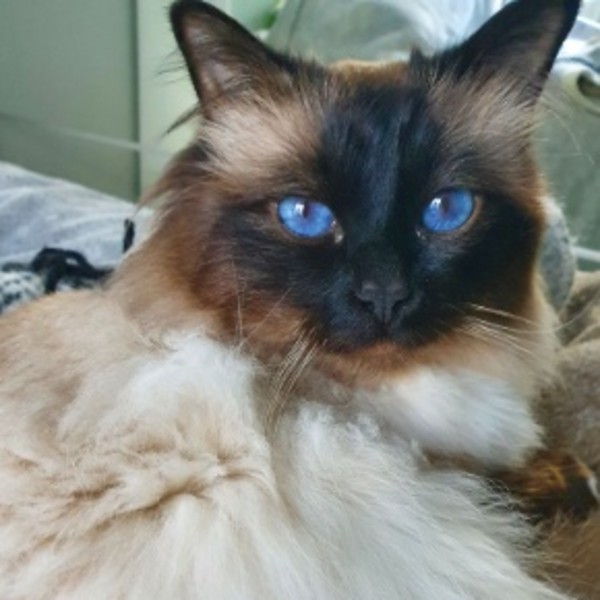 Photo de Gatsby