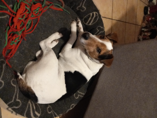 Photo de Pepito