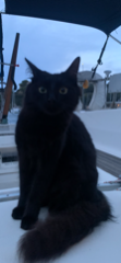 Photo de Soprano