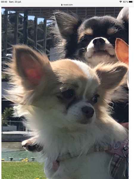 Photo de Sora