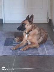 Photo de NALA