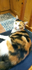 Lilou