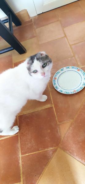 Louna