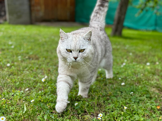 Photo de Oscar