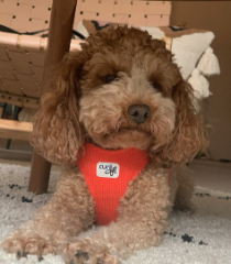 Photo de SUNNY