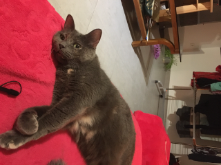Photo de Pacific