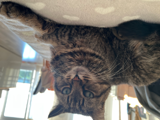 Photo de Bobine
