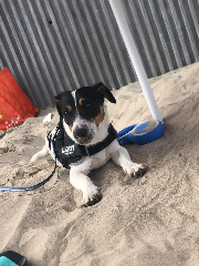Photo de Keiko