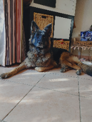 Photo de Niki