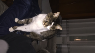 Photo de NALA