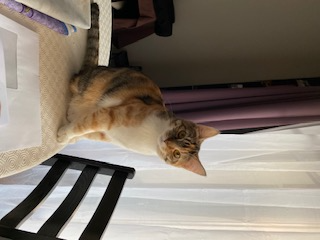 Photo de kimi