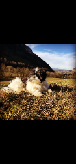 Photo de Pepito