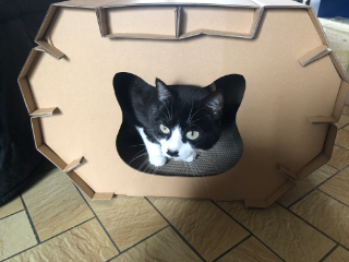 Photo de Polka