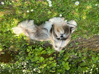 Photo de Rani