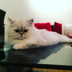 Mia