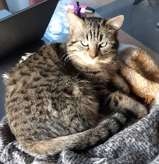 Photo de Zoé