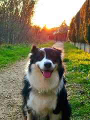 Photo de ROXY