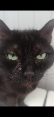 Photo de Boussa