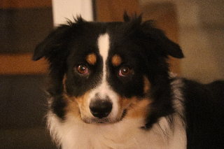 Photo de Talyah