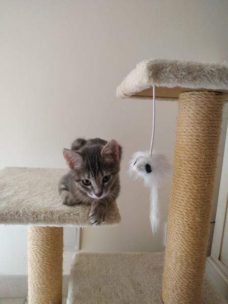 Photo de Mya