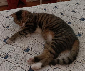 Photo de MOKA
