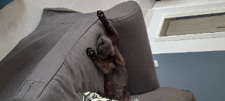 Photo de Oscar