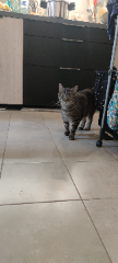 Photo de Lucky
