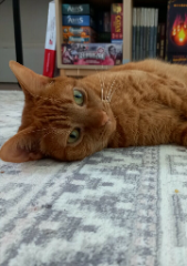 Photo de Leeloo