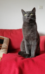 Photo de Minette