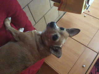 Yenah