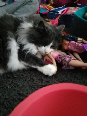 Photo de Olaf