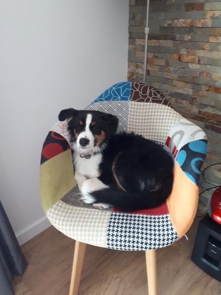 Photo de Tango