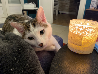 Photo de Hiti