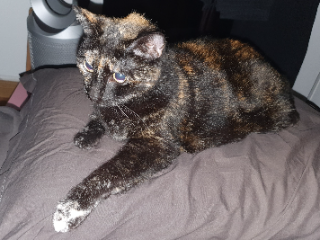 Photo de Manou