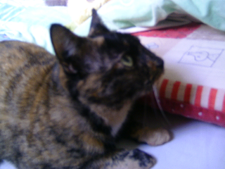 Photo de Lilou