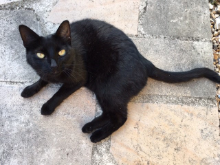 Photo de SISSI