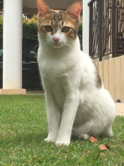 Photo de Lilah