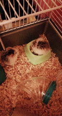 Belle et Pablo