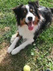 Photo de ZELDA