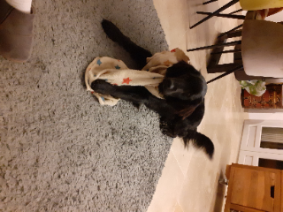 Max