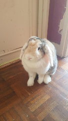 Photo de SUNNY