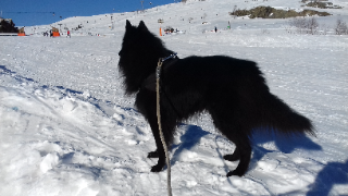 JETHRO