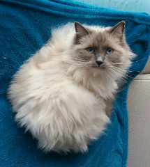 Photo de Inouïe