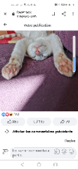 Photo de Lulu