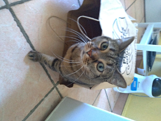 Photo de Aywa