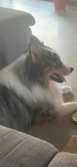 Alpha
